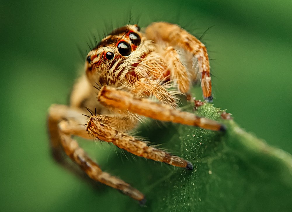 Photograph by Shaikh Alfaz Uddin