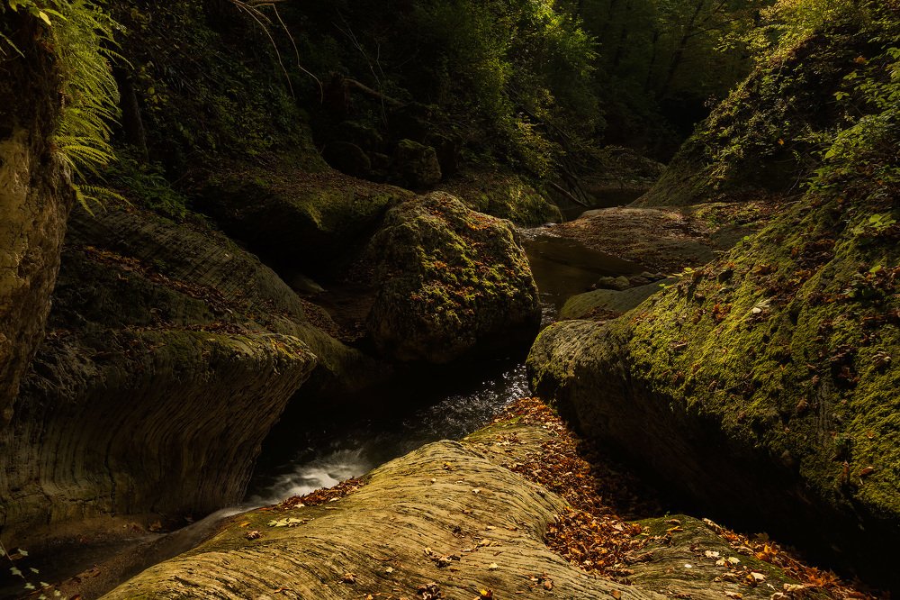 Photograph by Юрий Головченко