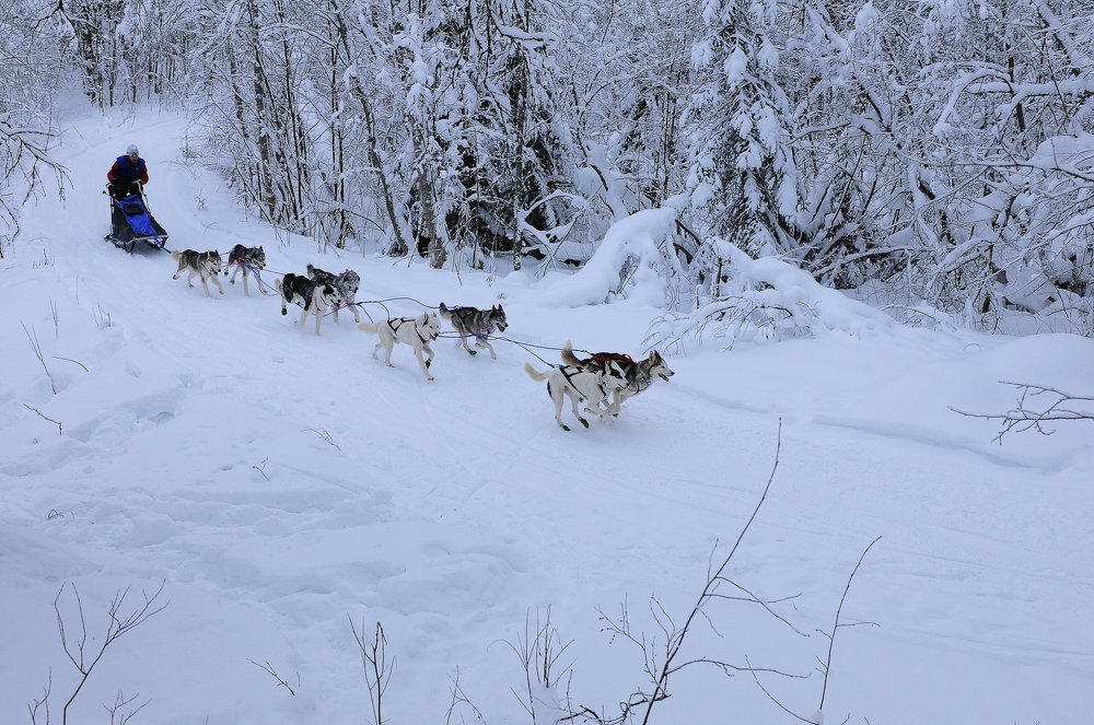 Photograph by Геннадий Тикка