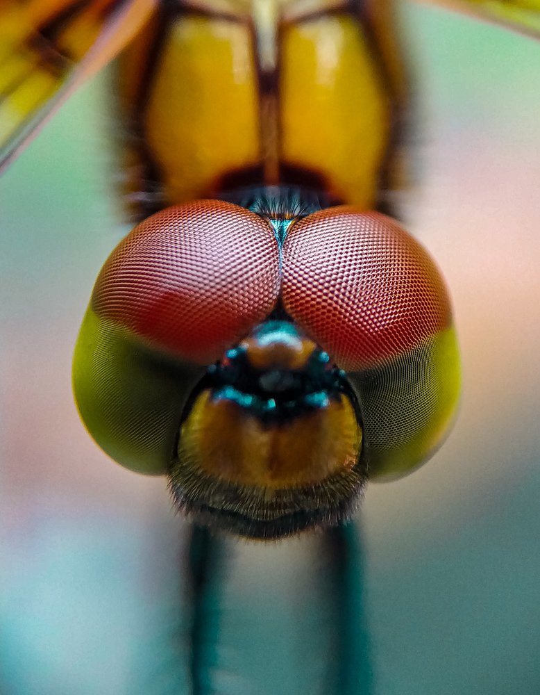 Photograph by Shaikh Alfaz Uddin