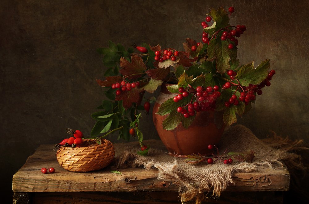 Калина, осени дары.