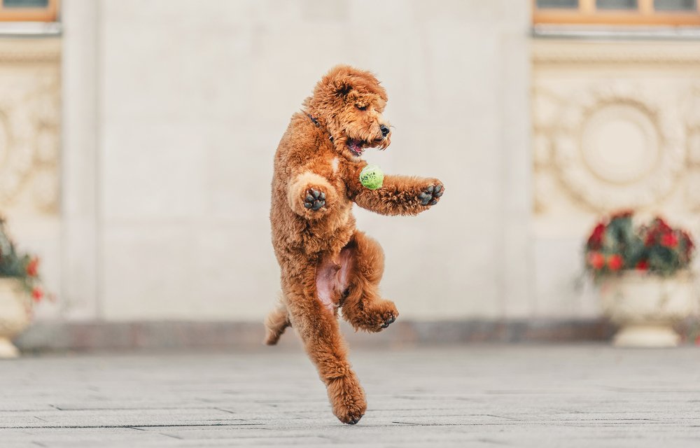 Photograph by PO IRINA