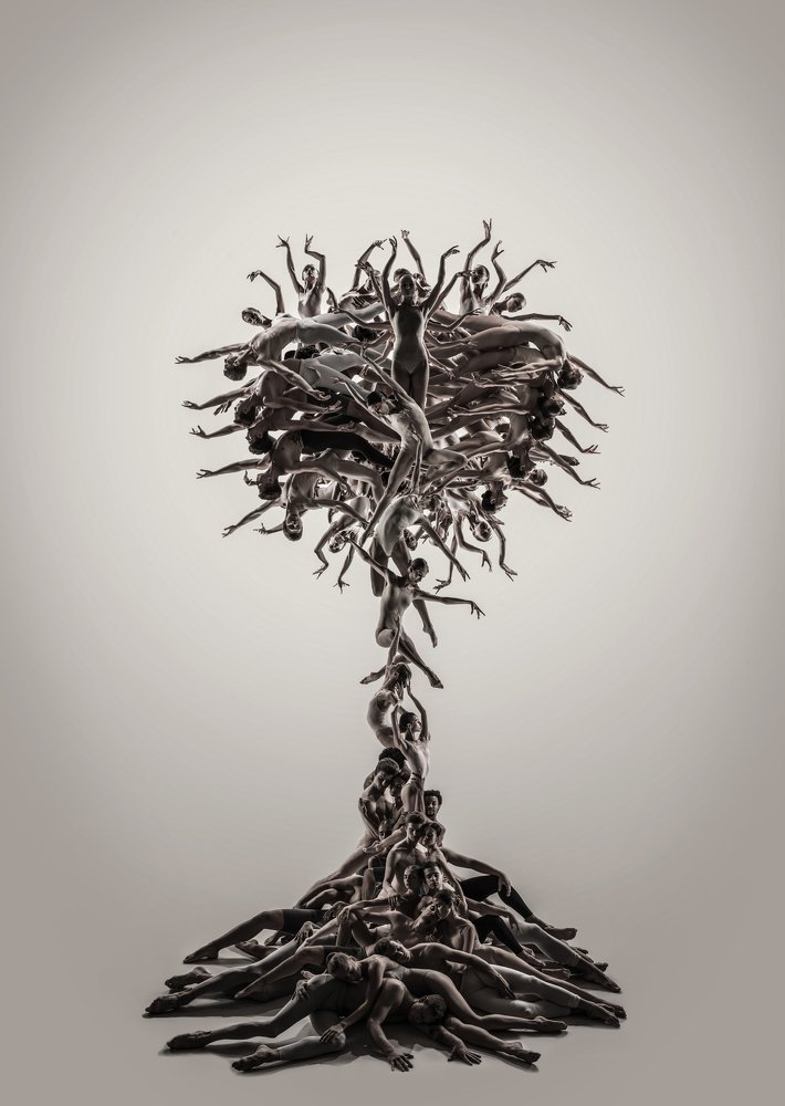 Фотография автора Lustre