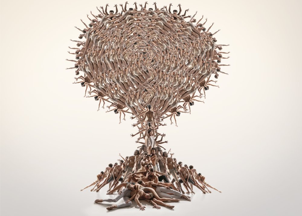 Фотография автора Lustre