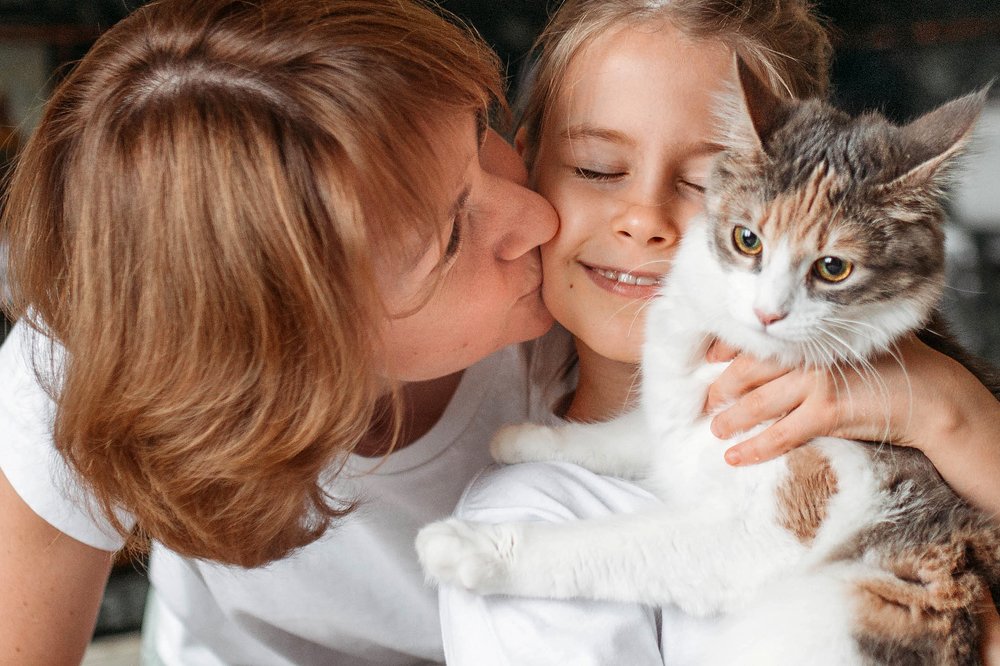 Веселый понедельник