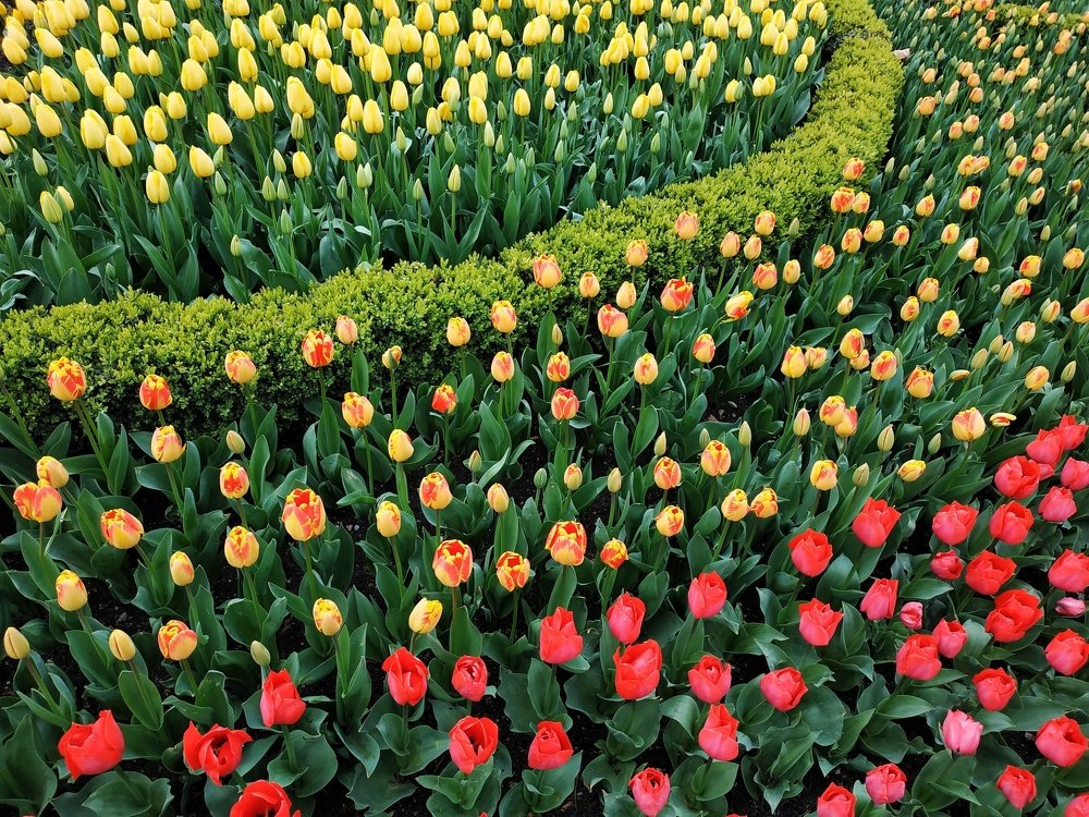 Photograph by Перун Мира