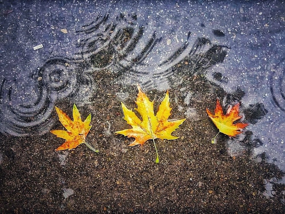 Photograph by Bahmani Arian