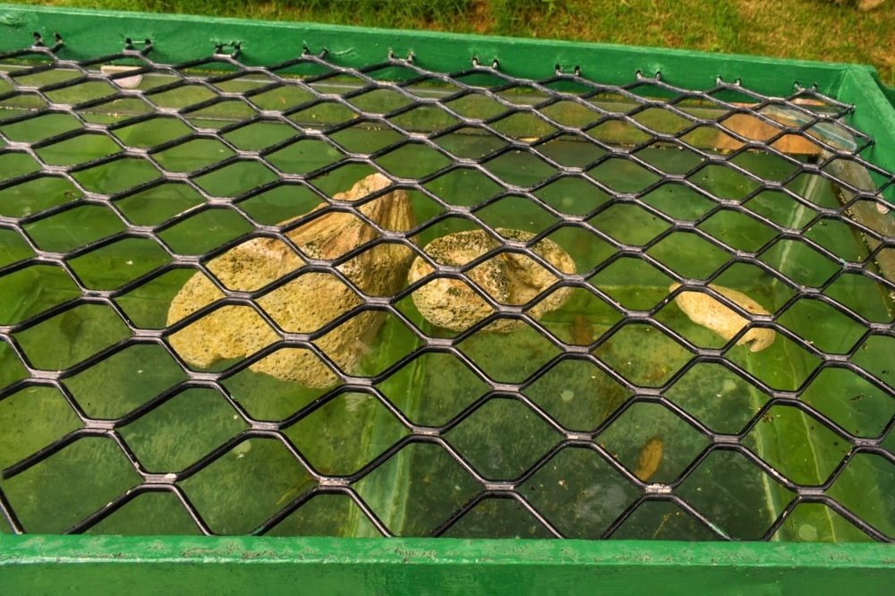 Ramshila_sachidanand Ashram