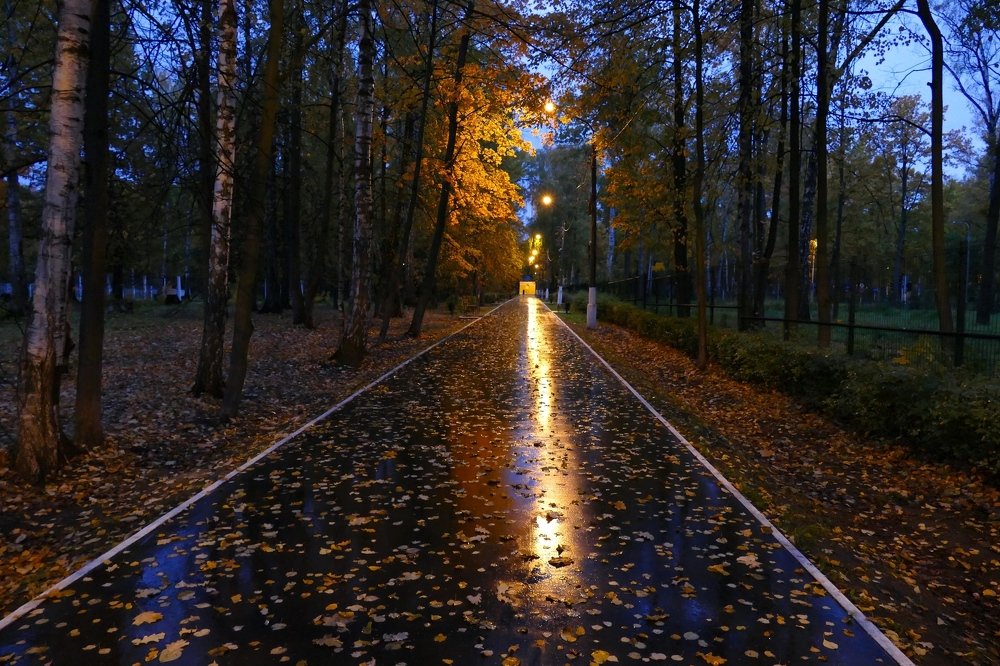 Autumn light.