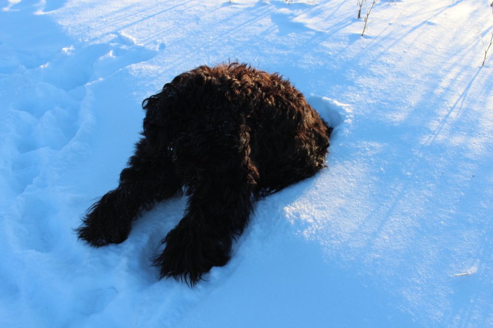 Photograph by Татьяна Соколова