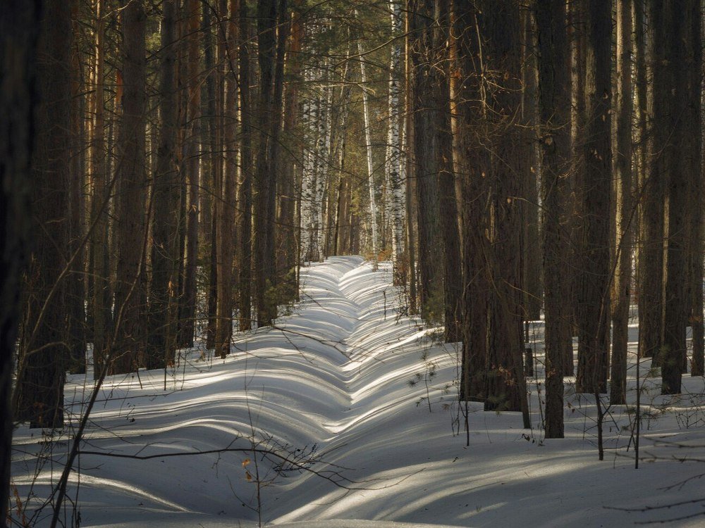 Photograph by Емельянов Саша