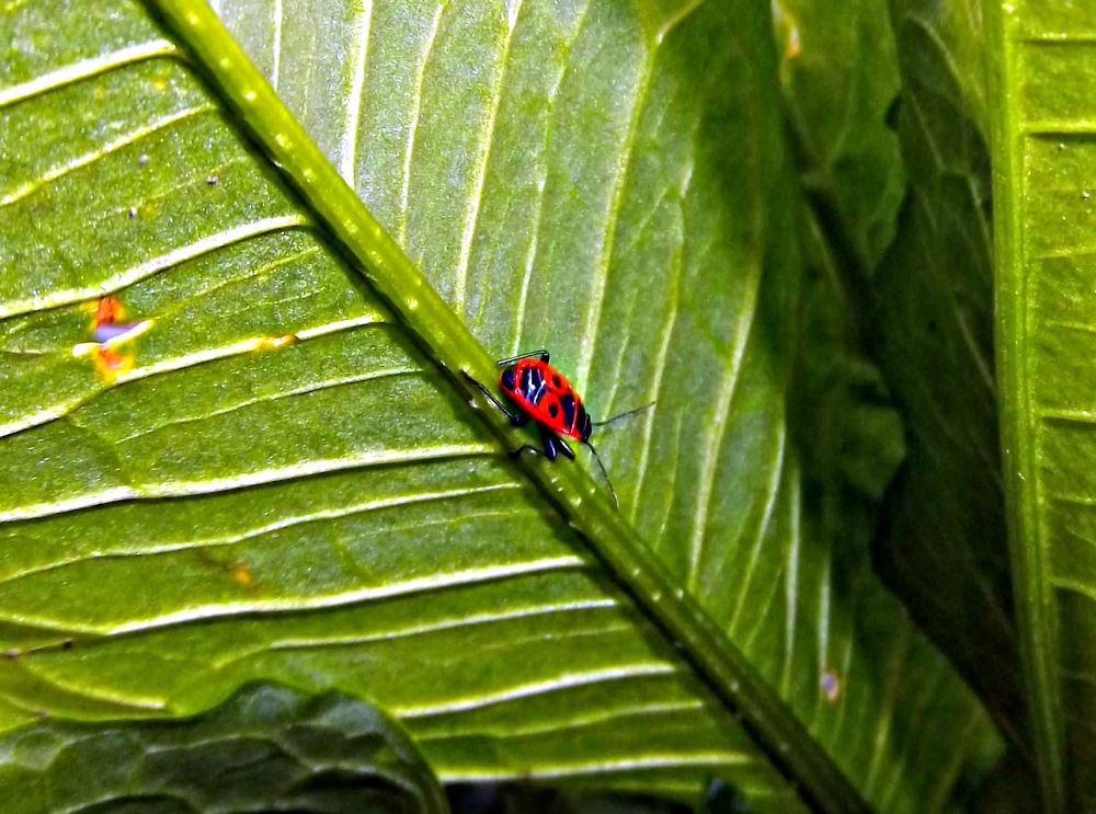 Photograph by Татьяна Королёва