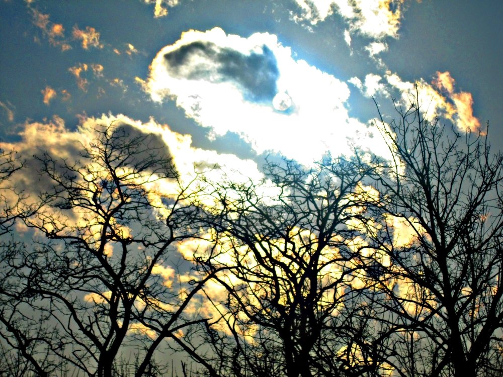Photograph by Татьяна Королёва