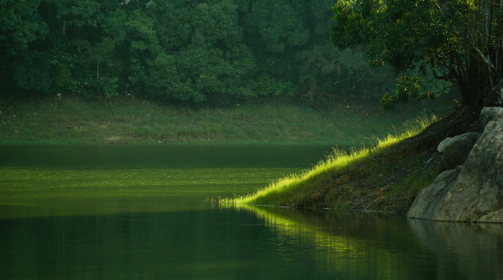 Photograph by Subhash kumaraswamy