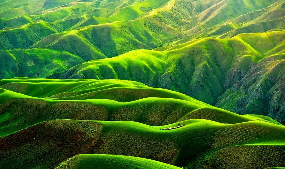 Photograph by Bahmani Arian