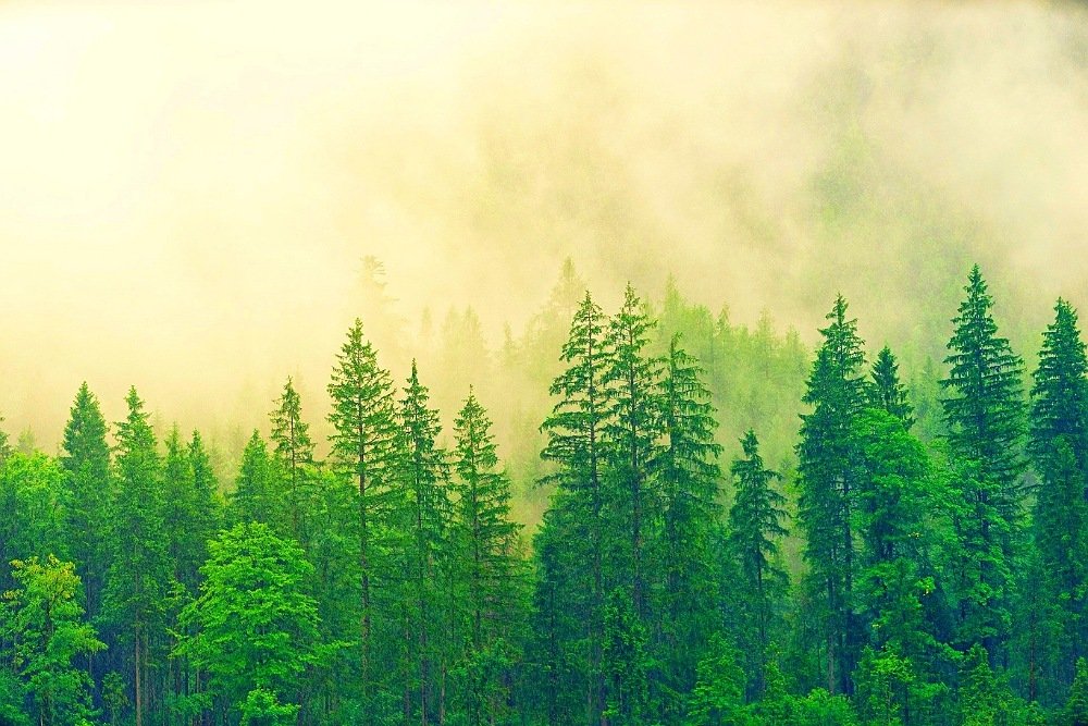 Photograph by Bahmani Arian