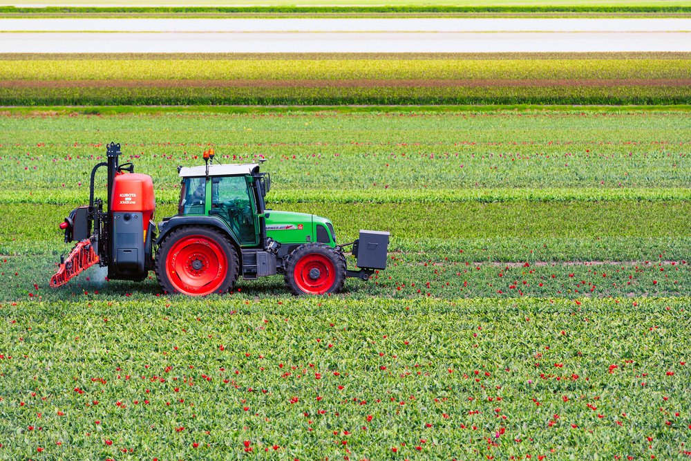 Photograph by Helen Mountaniol