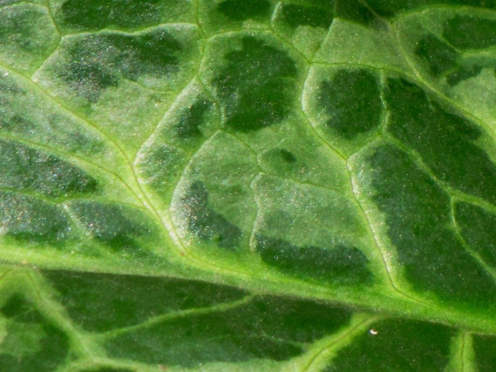 Photograph by Beatriz Games