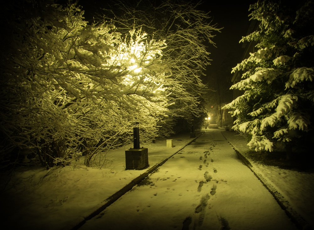 Photograph by Denis Zakalyapin