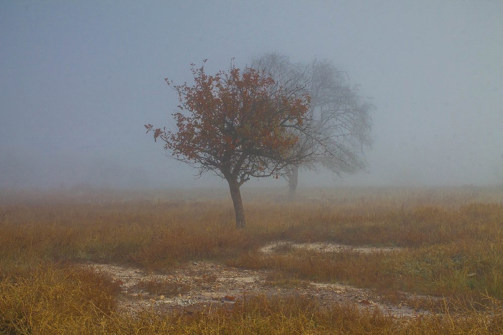Photograph by Анна Вязникова