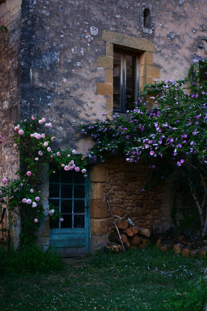 Photograph by Shahabedin Zeini Aslani,