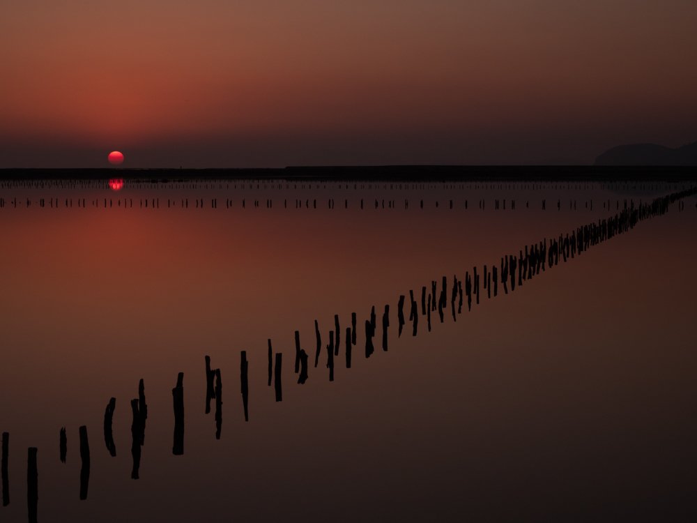 Photograph by Isabelle Campos