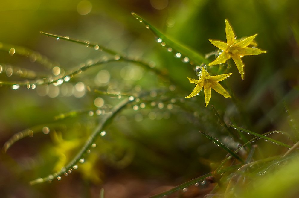 Photograph by Марина Мурашова