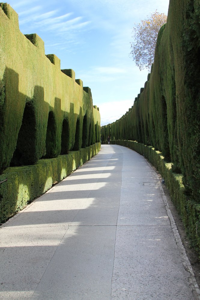 Alhambra. Spain.