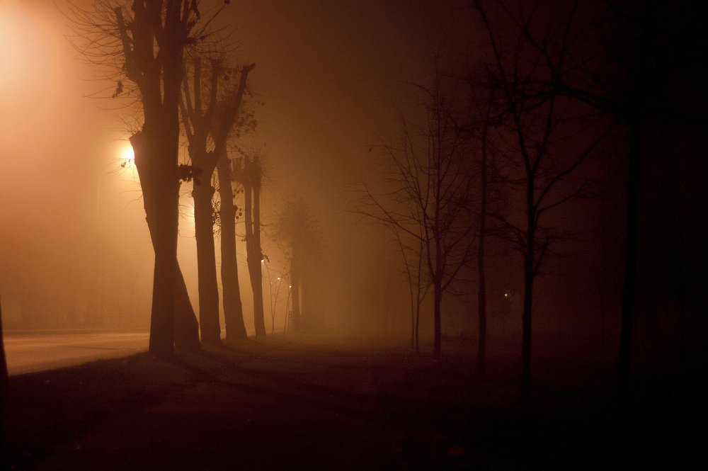 Photograph by Максим Селиванов