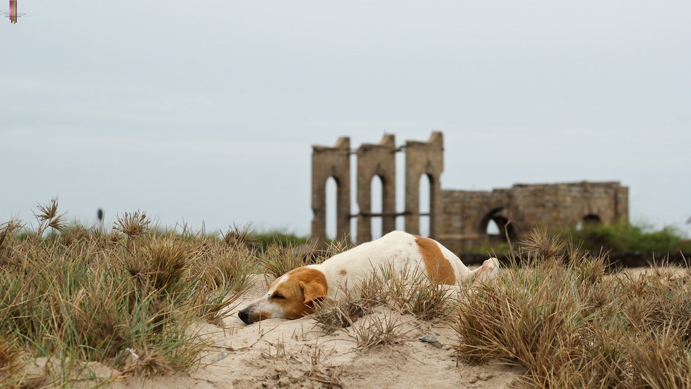 Photograph by  subhash kumaraswamy