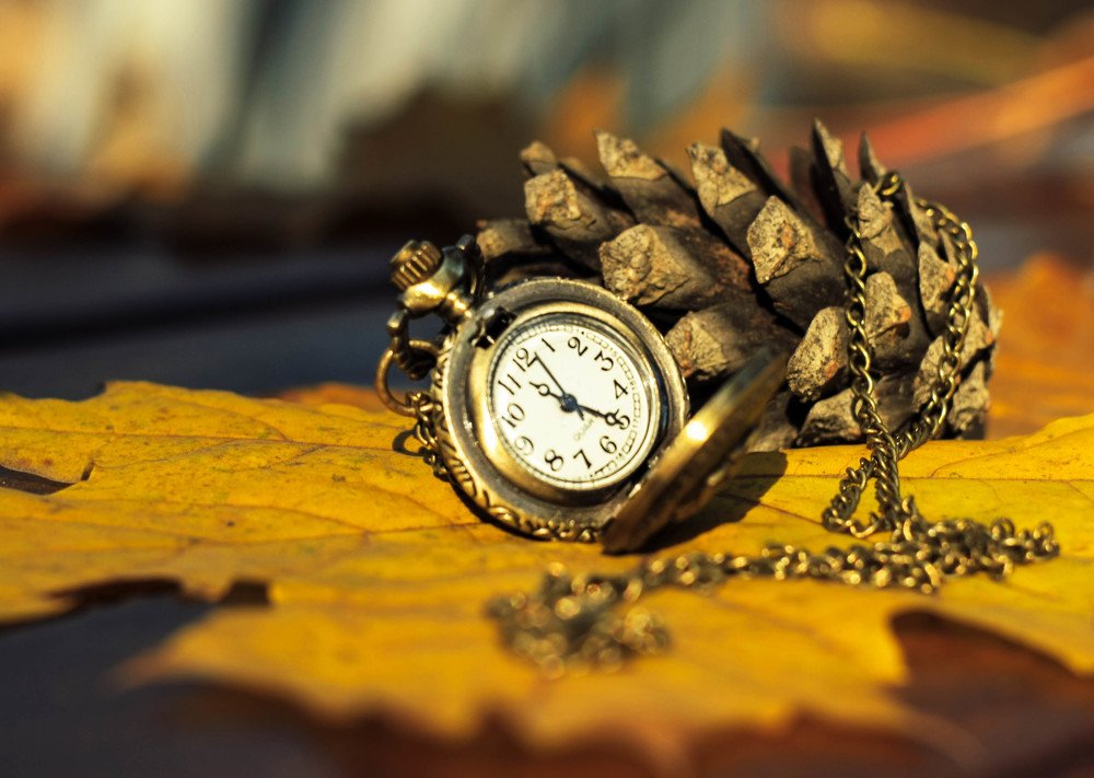 Фотография автора Евгений Король