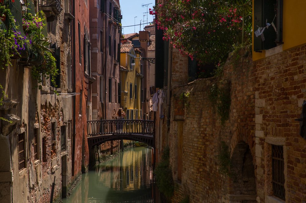 Photograph by Ольга Петруша