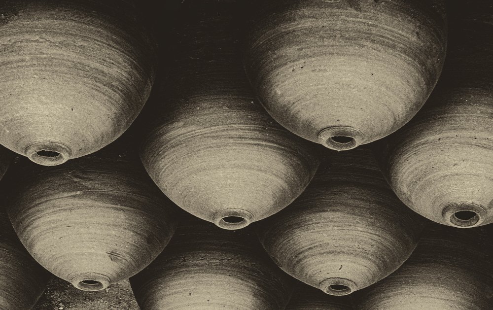 Фотография автора Sherine El Mously