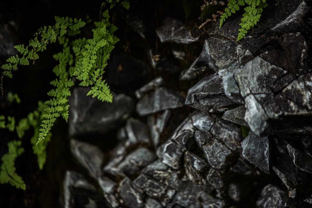 Photograph by Konstantin Morozov