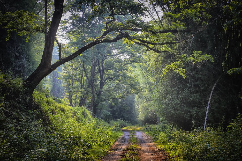 Фотография автора Anil Prabhakar