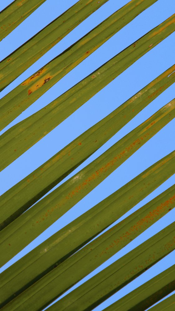 Photograph by Konstantin Morozov