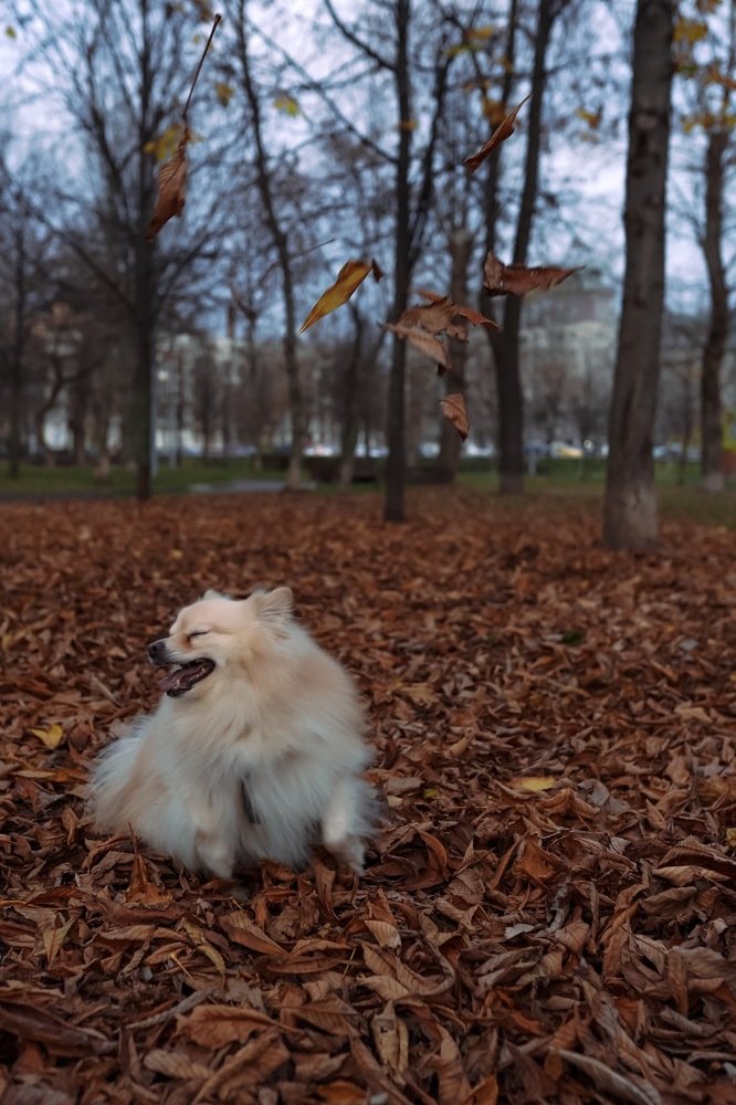 Фотография автора Анна Жузбаева