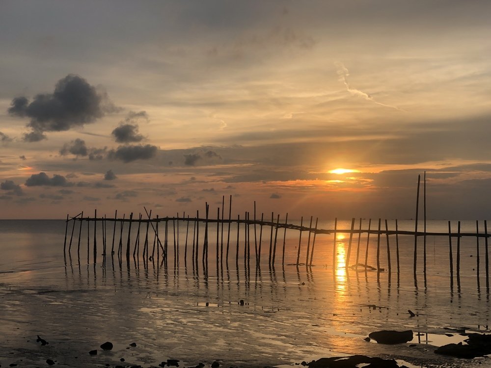 Sunset in the summer