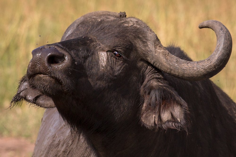 Photograph by Ольга Петруша