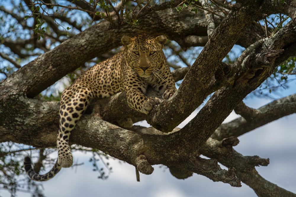 Photograph by Ольга Петруша