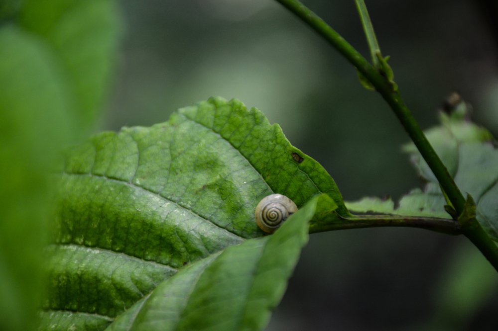 Photograph by Hosein Mayeli
