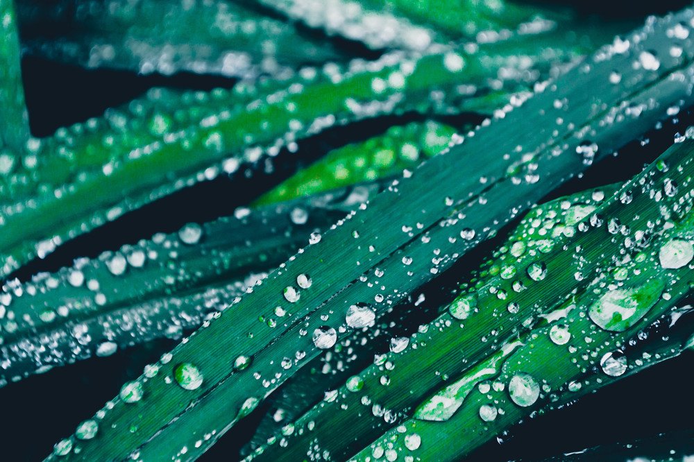 Photograph by Андрей Муравин