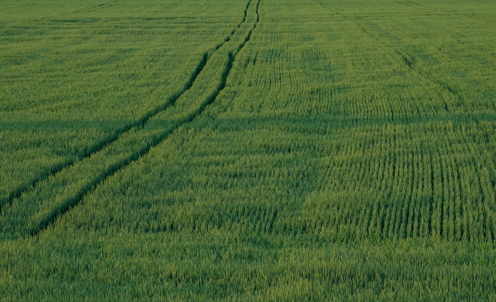 Photograph by Инна Макеева