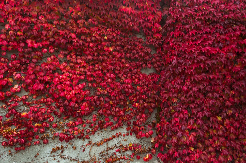 Photograph by Андрей Муравин