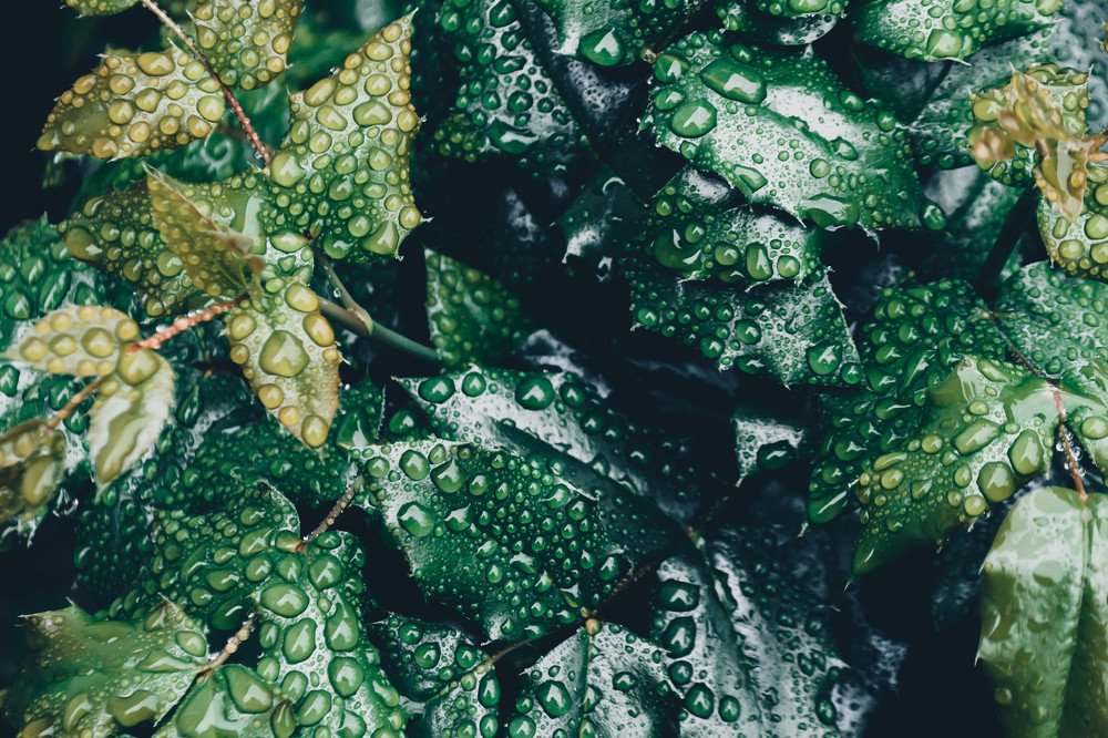 Photograph by Андрей Муравин