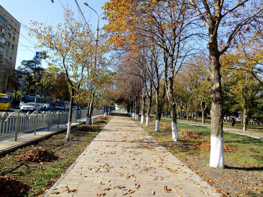 Photograph by Татьяна Пальчикова