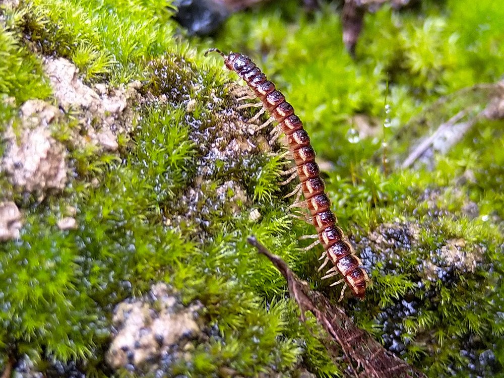 Photograph by Hosein Mayeli