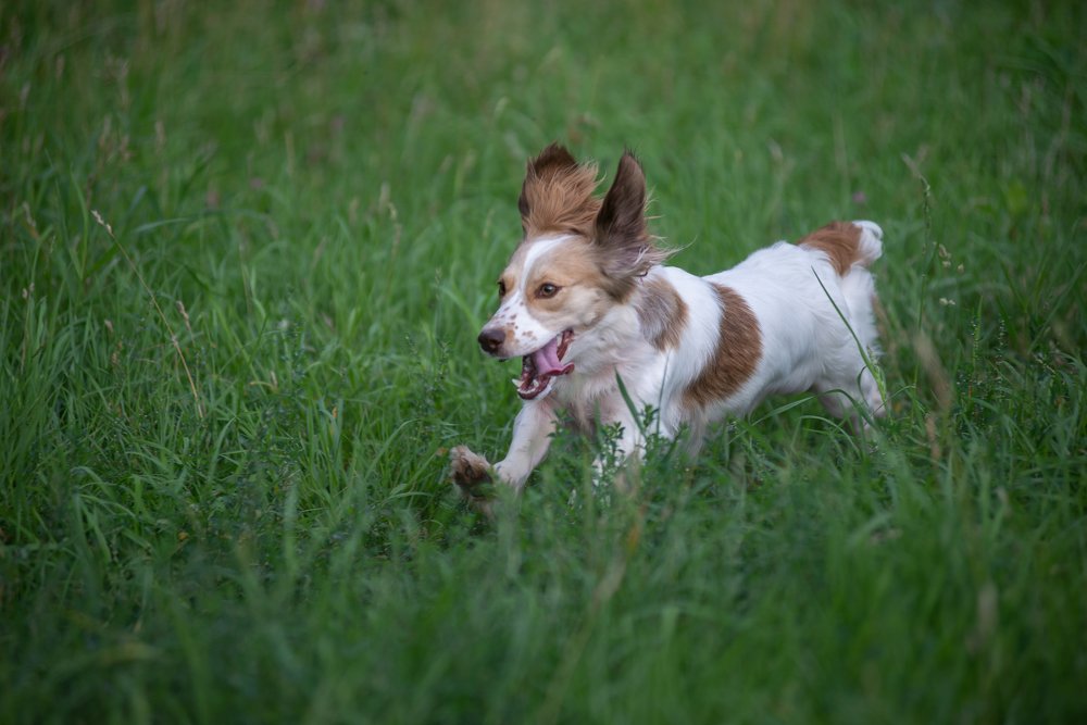 Photograph by Инна Макеева