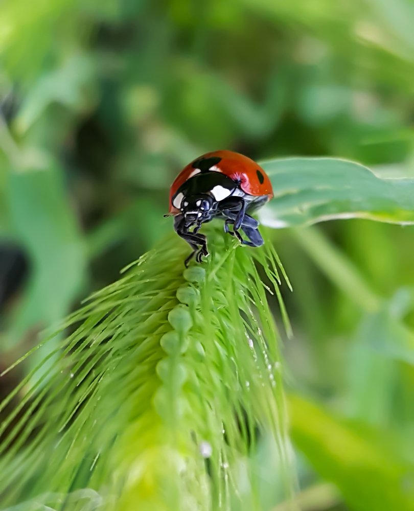 Photograph by Hosein Mayeli