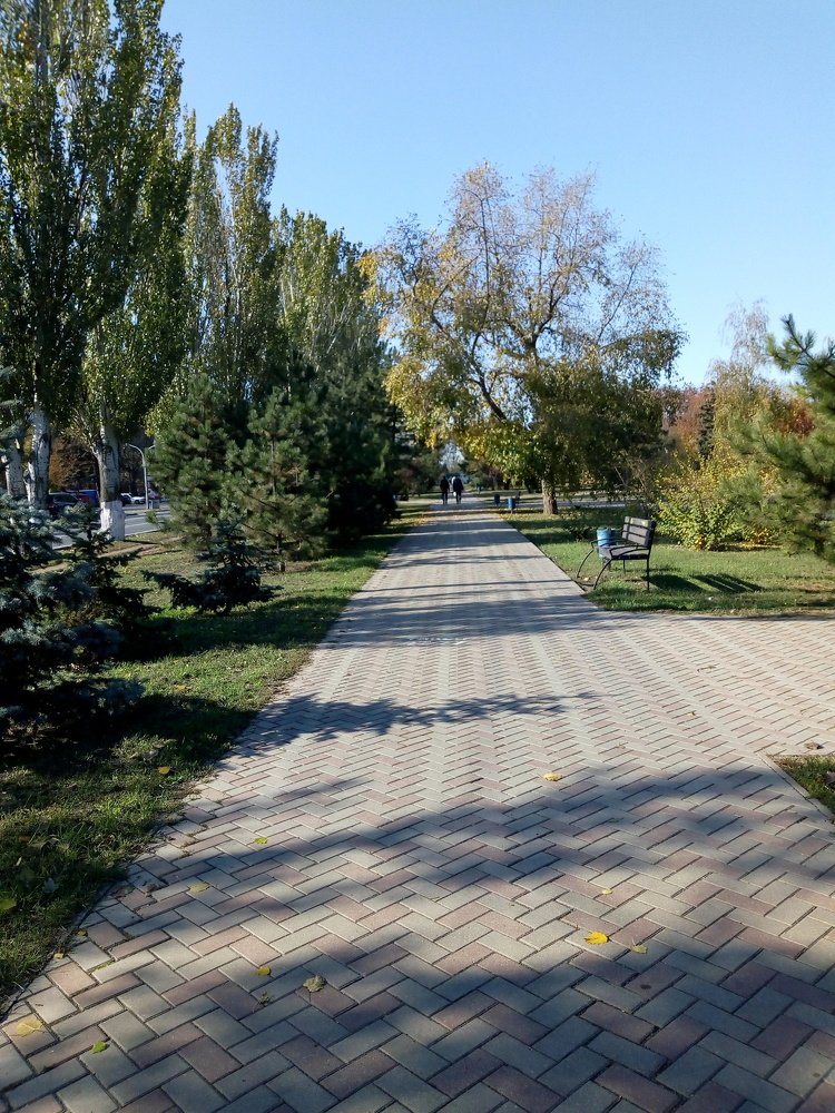 Photograph by Татьяна Пальчикова